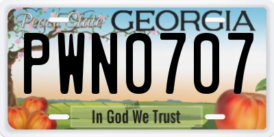 GA license plate PWN0707