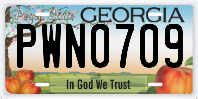 GA license plate PWN0709