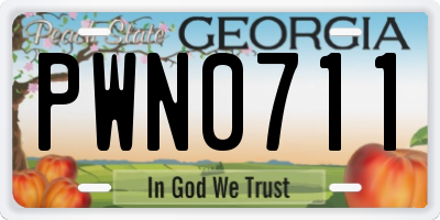 GA license plate PWN0711