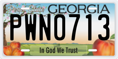 GA license plate PWN0713