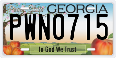 GA license plate PWN0715