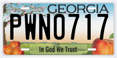 GA license plate PWN0717