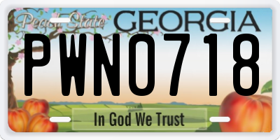 GA license plate PWN0718