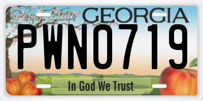 GA license plate PWN0719