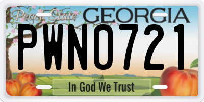 GA license plate PWN0721