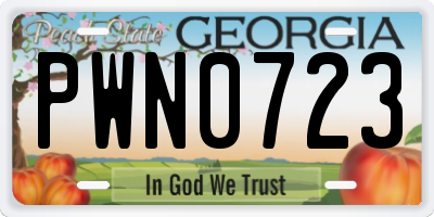 GA license plate PWN0723