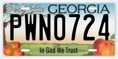 GA license plate PWN0724