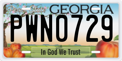 GA license plate PWN0729