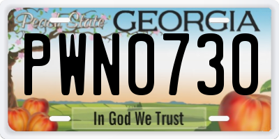 GA license plate PWN0730