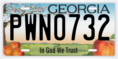 GA license plate PWN0732