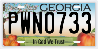 GA license plate PWN0733