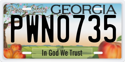 GA license plate PWN0735