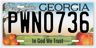 GA license plate PWN0736