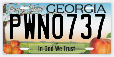 GA license plate PWN0737