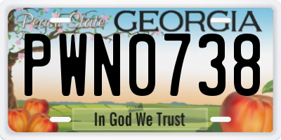 GA license plate PWN0738