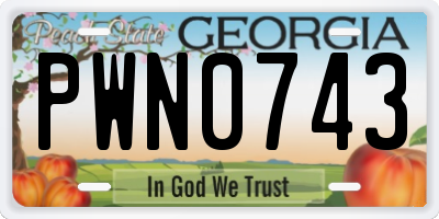 GA license plate PWN0743