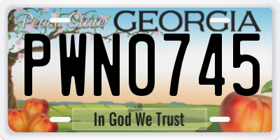 GA license plate PWN0745