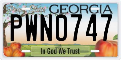 GA license plate PWN0747