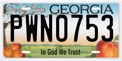 GA license plate PWN0753
