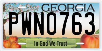 GA license plate PWN0763