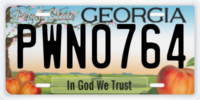 GA license plate PWN0764