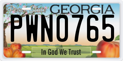 GA license plate PWN0765