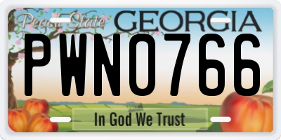 GA license plate PWN0766