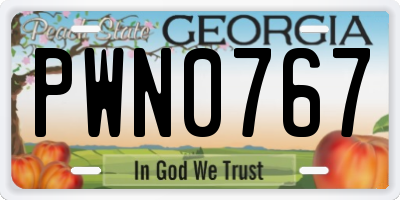GA license plate PWN0767
