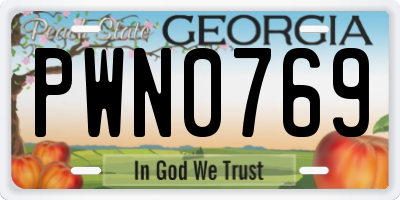 GA license plate PWN0769