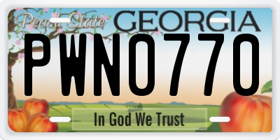 GA license plate PWN0770