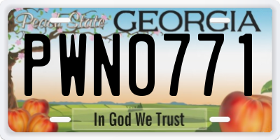 GA license plate PWN0771