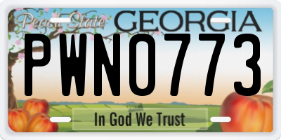 GA license plate PWN0773