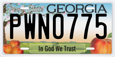 GA license plate PWN0775