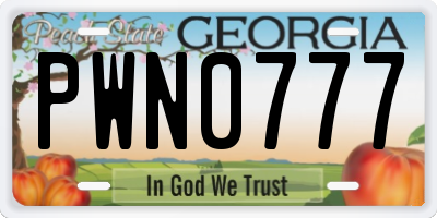 GA license plate PWN0777