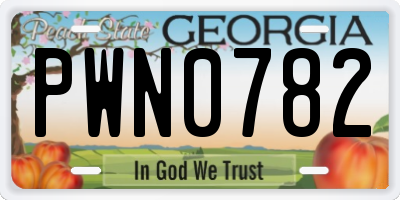GA license plate PWN0782