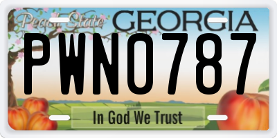 GA license plate PWN0787