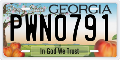 GA license plate PWN0791