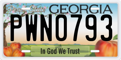 GA license plate PWN0793