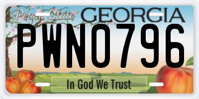 GA license plate PWN0796