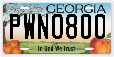 GA license plate PWN0800