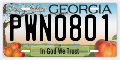 GA license plate PWN0801