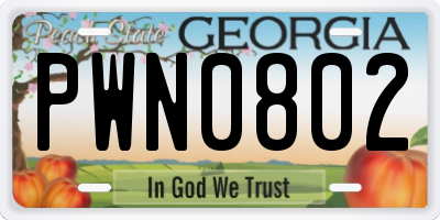 GA license plate PWN0802