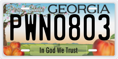 GA license plate PWN0803