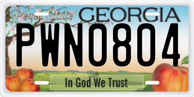 GA license plate PWN0804