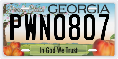 GA license plate PWN0807