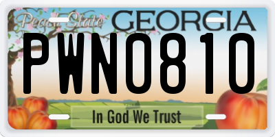 GA license plate PWN0810