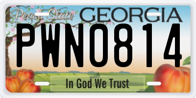 GA license plate PWN0814