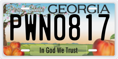 GA license plate PWN0817