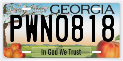 GA license plate PWN0818