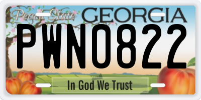 GA license plate PWN0822